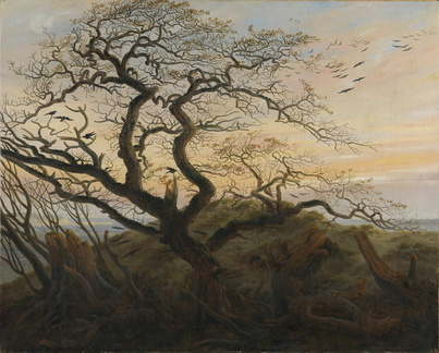 Corbeaux sur un arbre