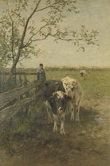 Le Coin de la traite