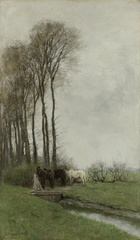 Horses near the fence.