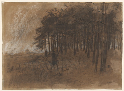 Bosquet